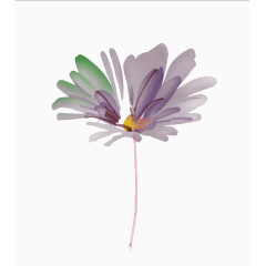一束紫色的小花