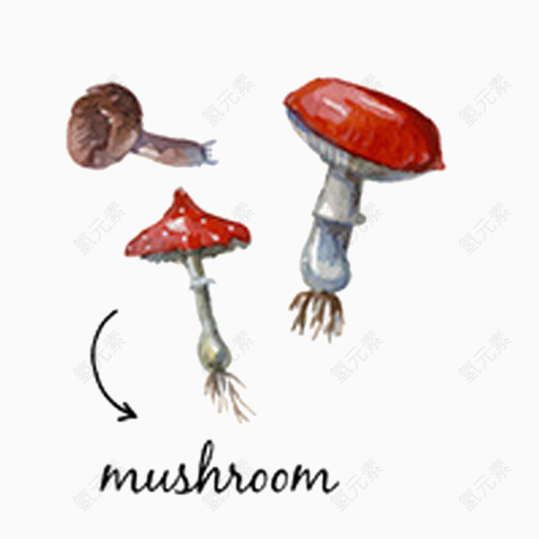 蘑菇手绘免抠素材