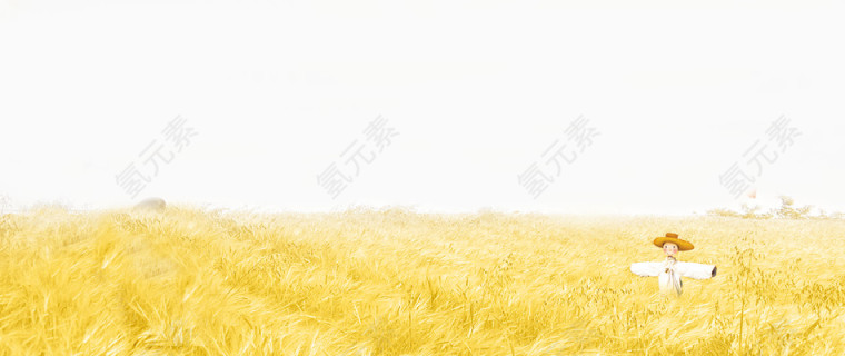 金黄色稻草背景