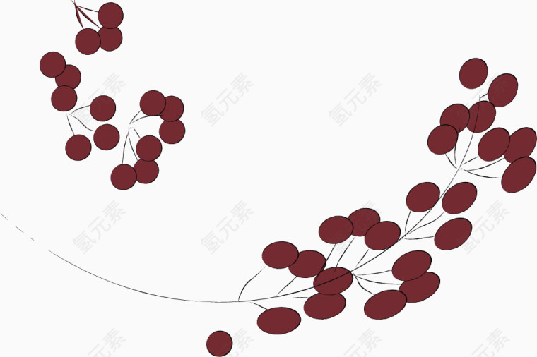 矢量手绘果实