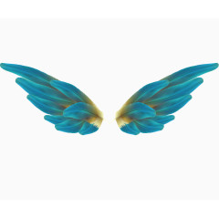 蓝色的翅膀