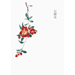 红色石榴花