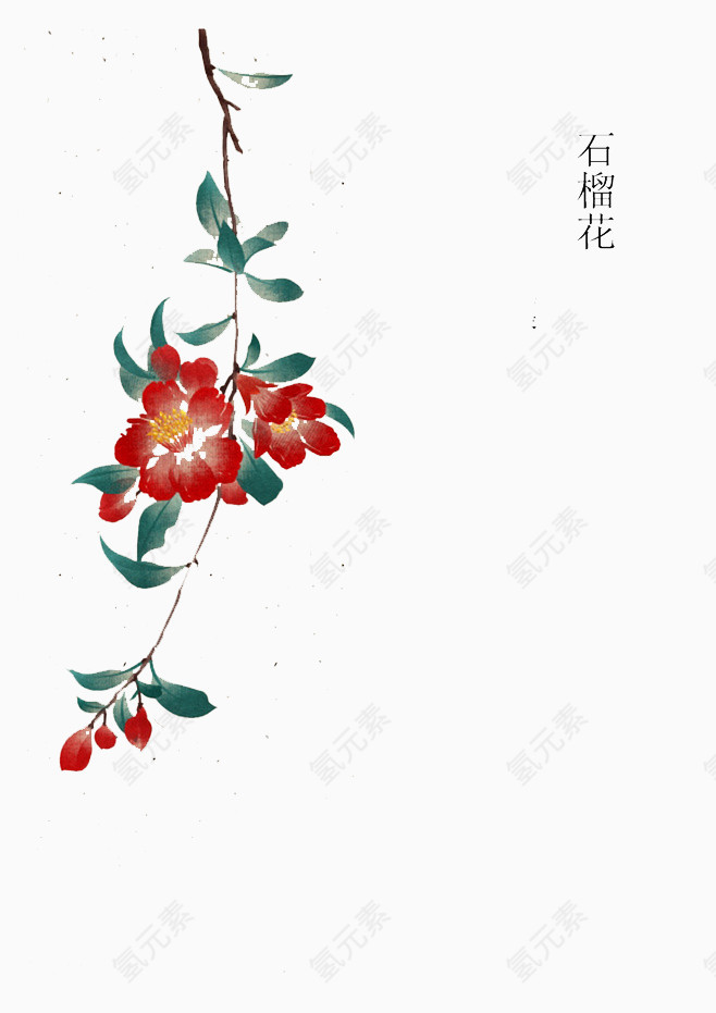 红色石榴花