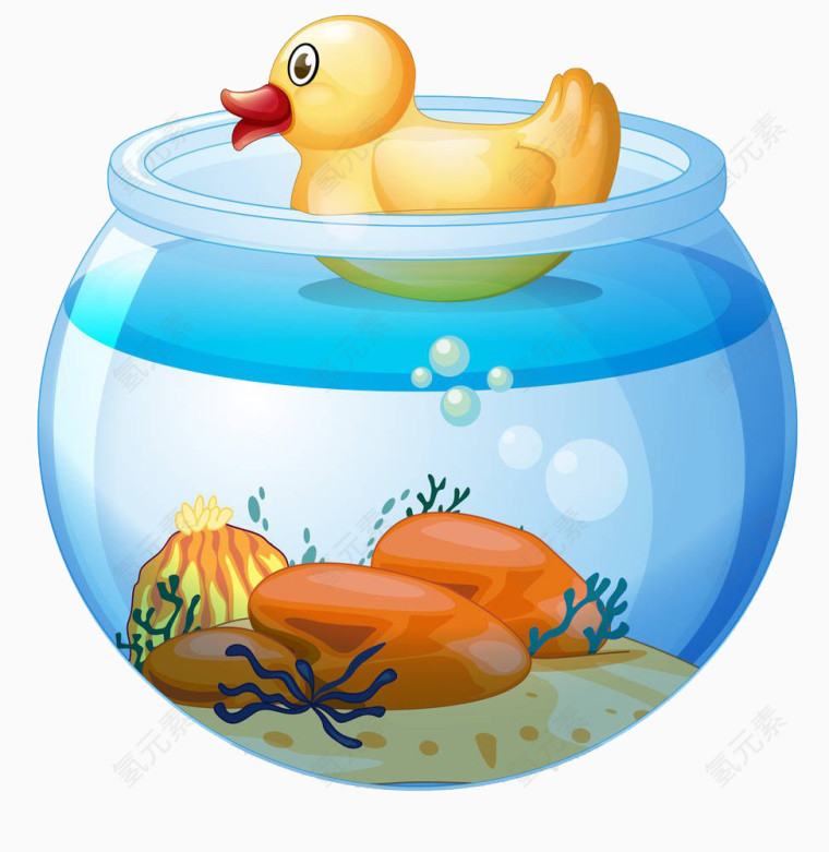 鱼缸里的小鸭