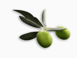 绿色可口橄榄