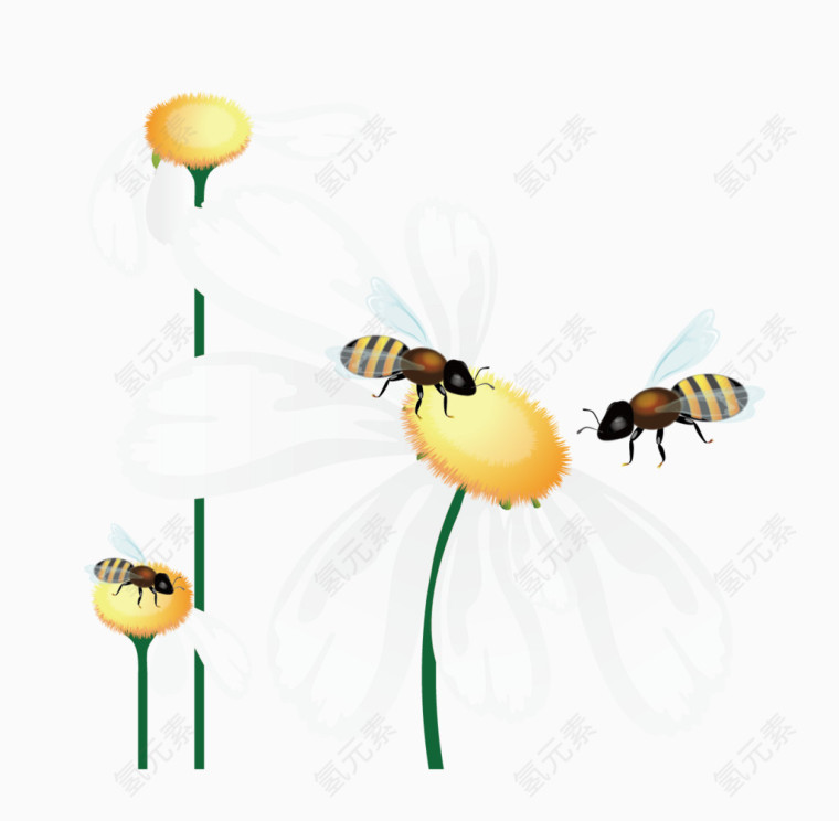矢量小蜜蜂花瓣