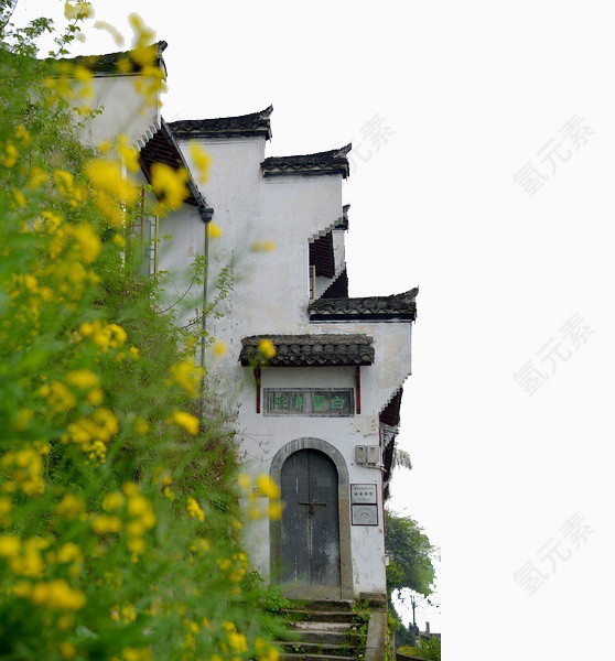 徽州建筑侧面白墙黑瓦油菜花