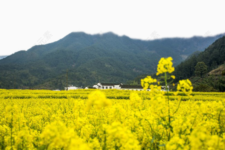 美丽山村