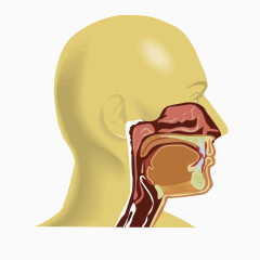 黄色医疗口腔教学图