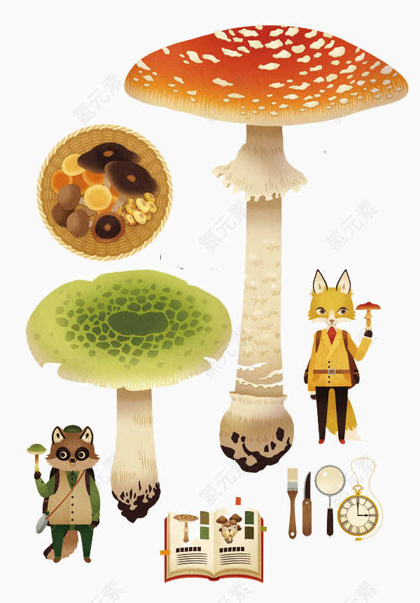 大蘑菇森林