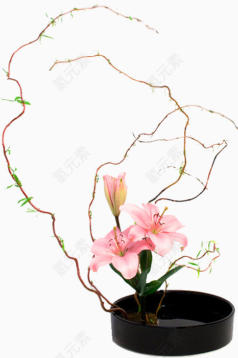 花树