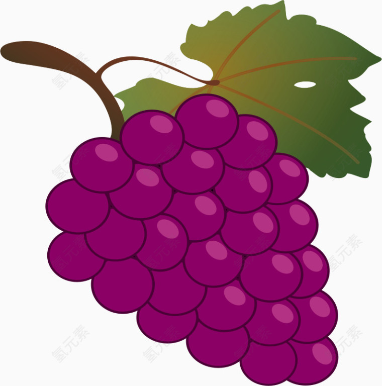 紫色的卡通带叶子的葡萄