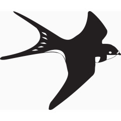 黑色的燕子鸟