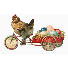 母鸡骑车