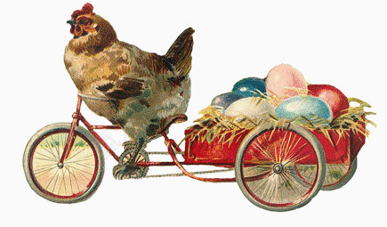 母鸡骑车