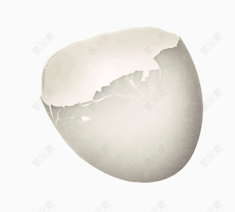 白色蛋壳