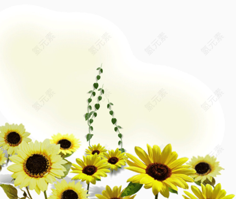 黄色可爱太阳花向日葵