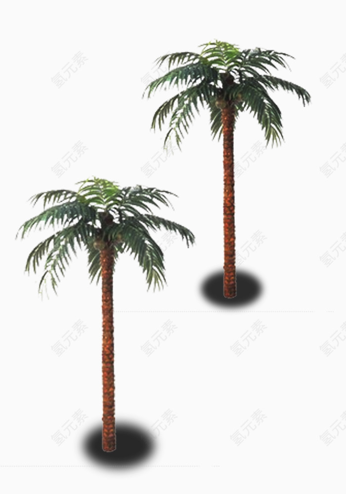 景观椰子树素材