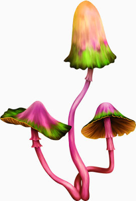 创意蘑菇