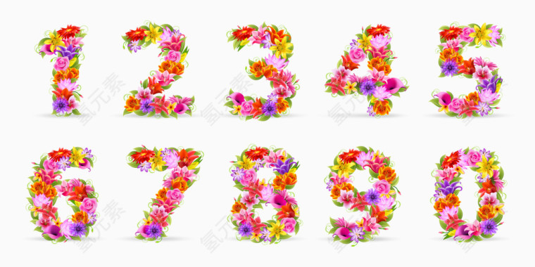 花朵组成的数字