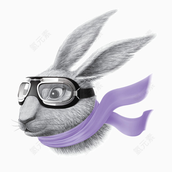兔子插图设计