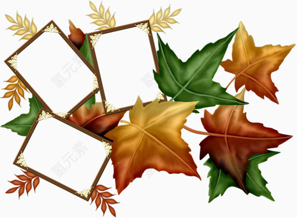 绿色秋季枫叶相框装饰