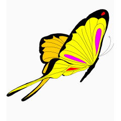飞舞的黄色蝴蝶彩蝶