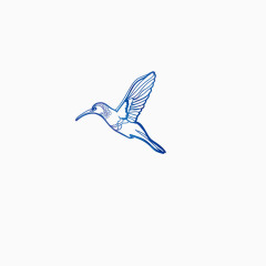 蓝色的鸟