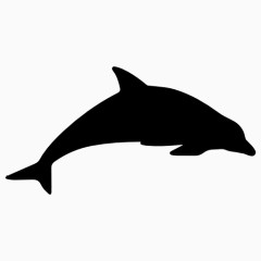 海豚剪影