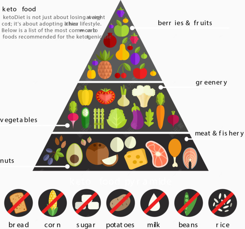 食物金字塔下载