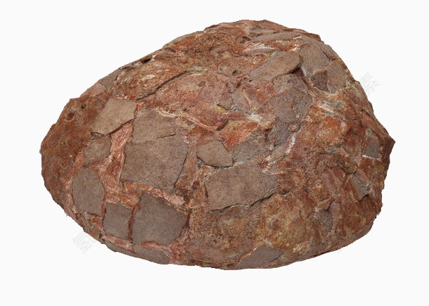 深红龟裂的化石