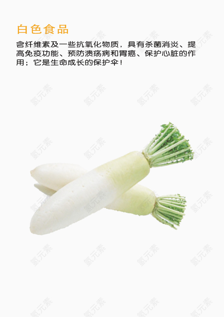 白萝卜  白色食品  白色蔬菜