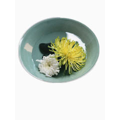 碗中的菊花
