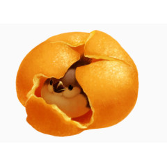 橘子皮里的小鸟