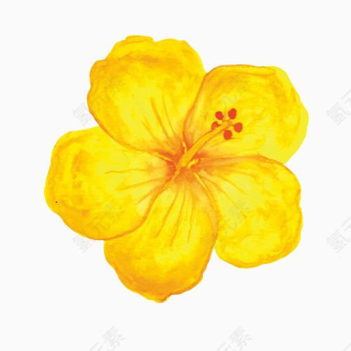 矢量黄色木槿花朵免费素材