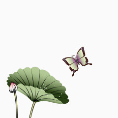 芙蕖和蝴蝶