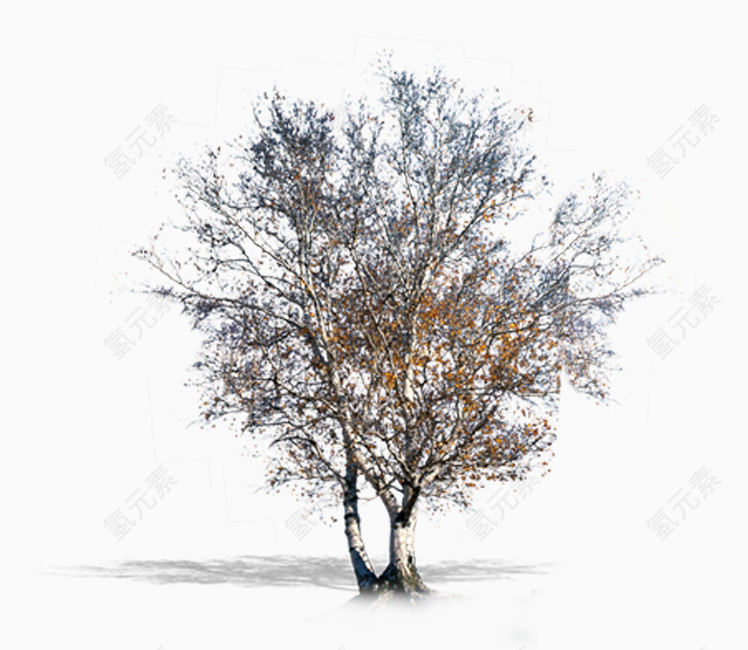 秋天树木免抠素材免费下载