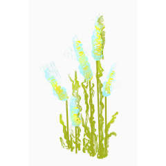 海洋植物水草