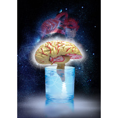 大脑科研未来技术