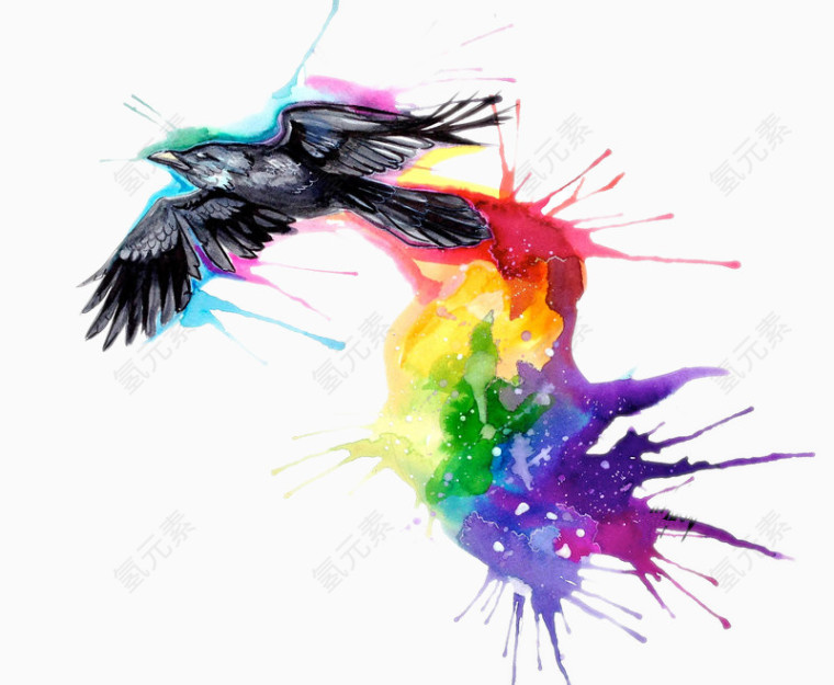 彩色染料背景下飞翔的乌鸦