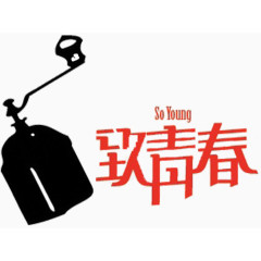 致青春字