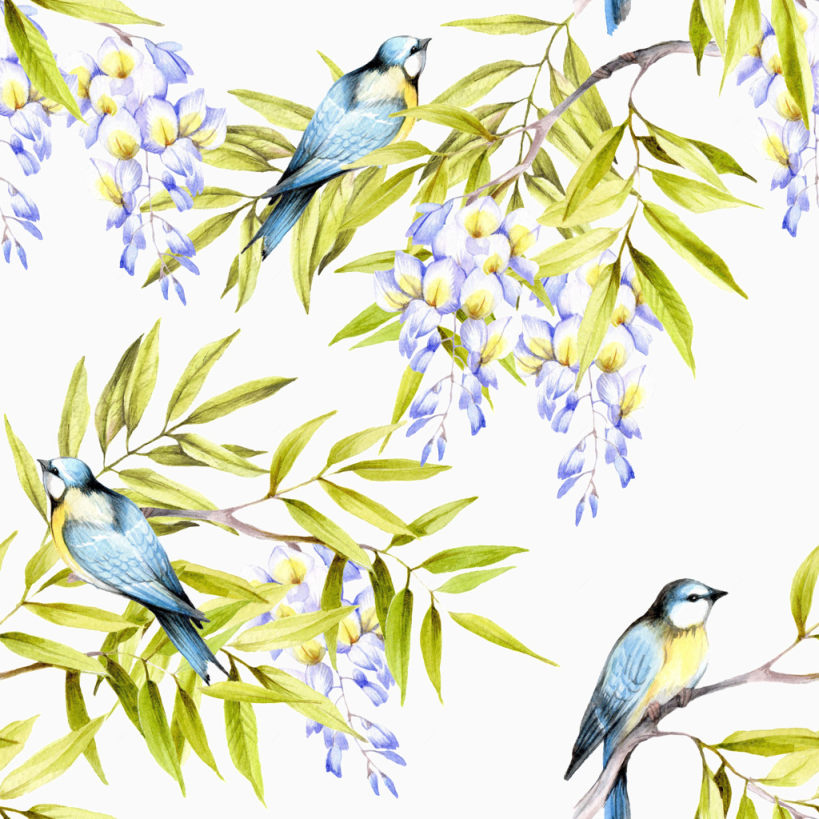 美丽的手绘植物和鸟高清图片下载