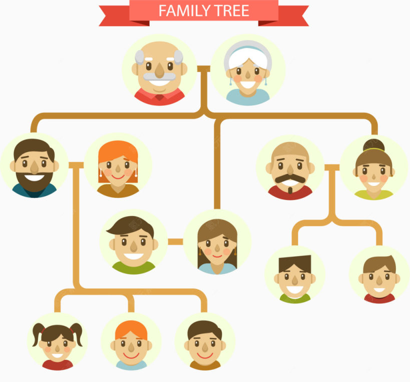 家庭结构图下载