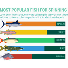 最受欢迎的鱼信息图表矢量素材