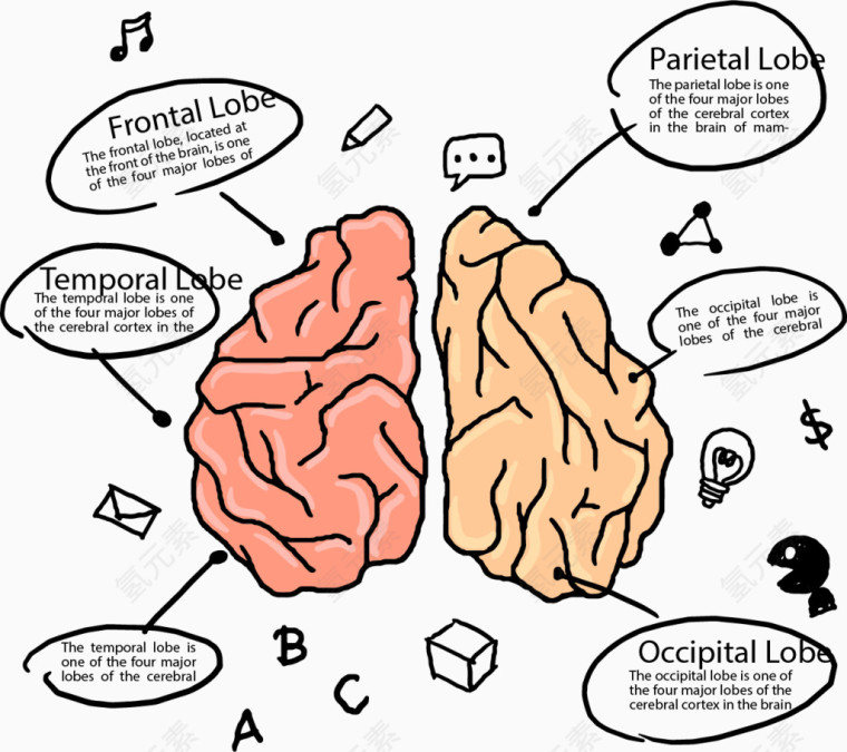 手绘卡通大脑分类