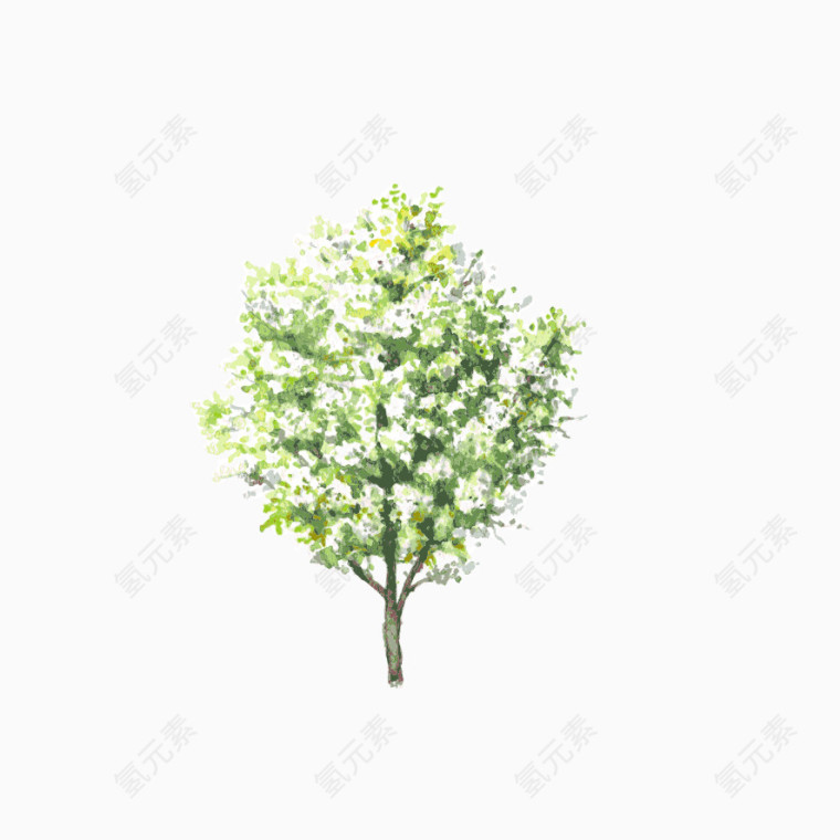 小树 绿植 森系 装饰