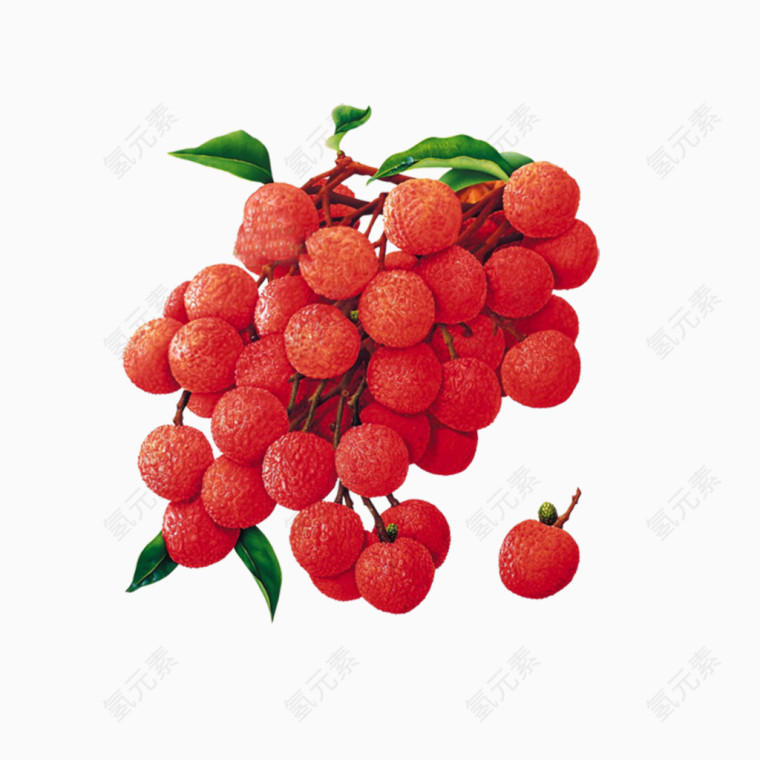 红色荔枝水果