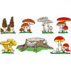 矢量野生蘑菇