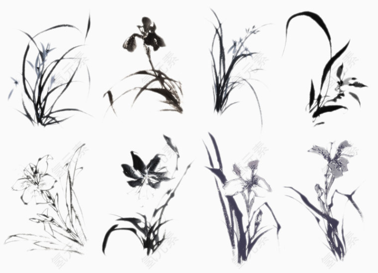 八种兰花水墨画