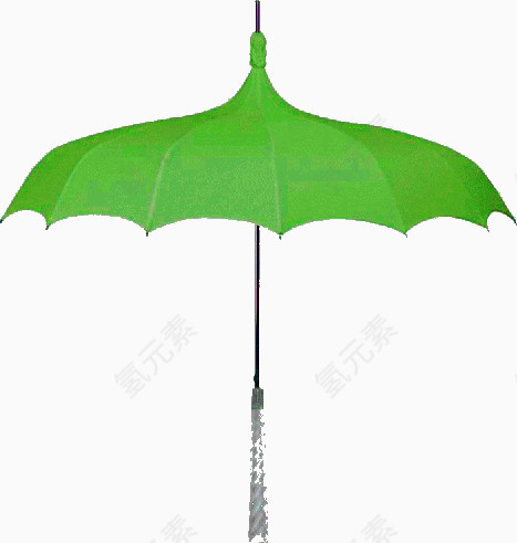 尖头绿伞